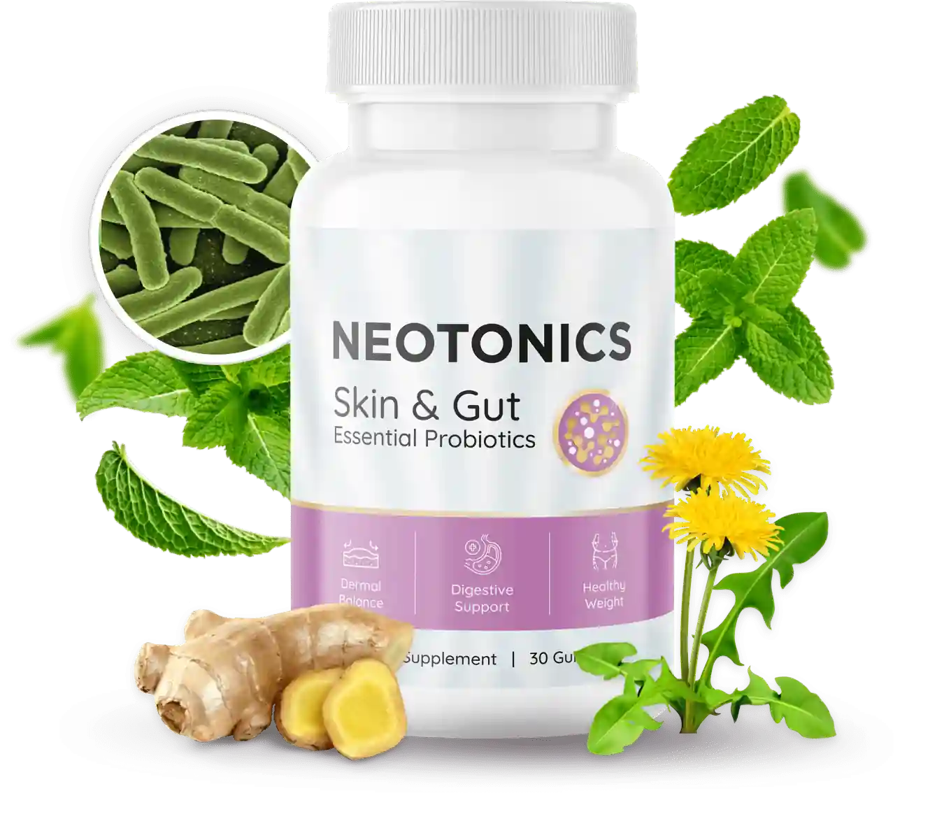 neotonics Gummies one Buttle