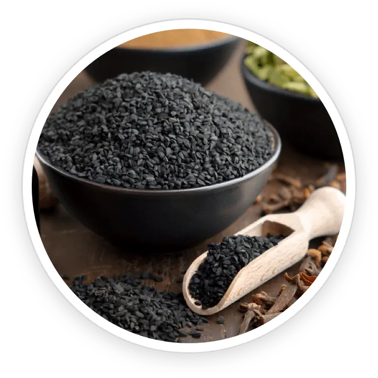 Babchi seeds and plant