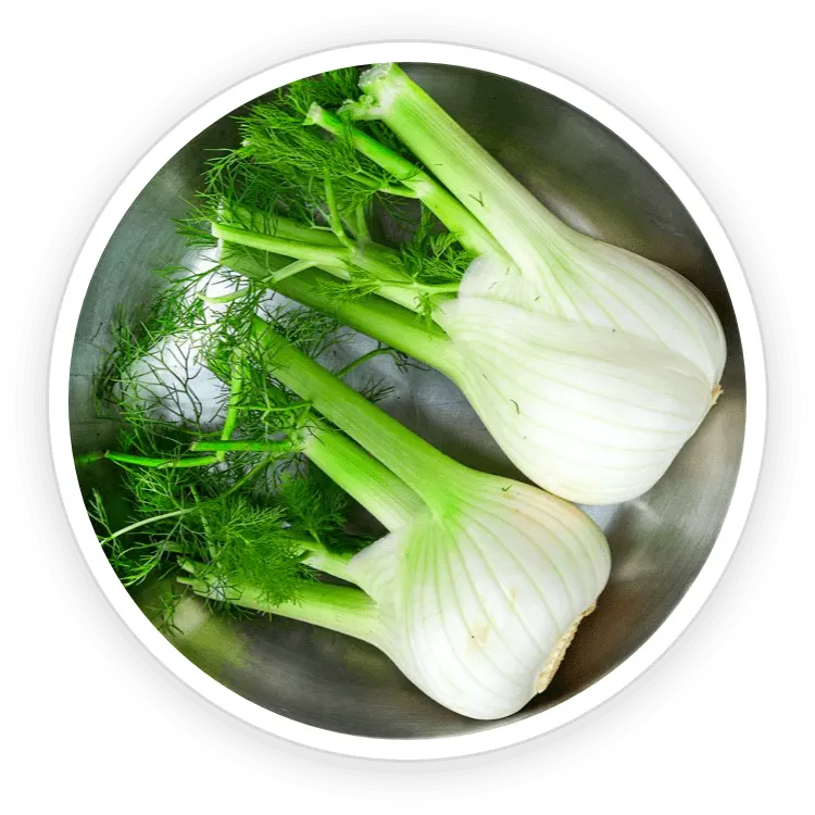 Fennel bulb, fronds, and seeds