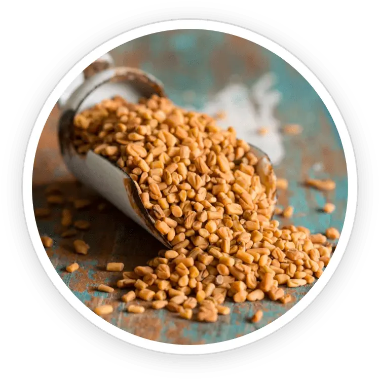 Fenugreek leaves and seeds